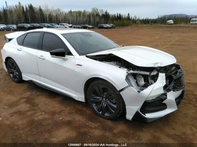 ACURA TLX 2023