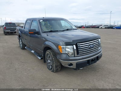 FORD F-150 2010