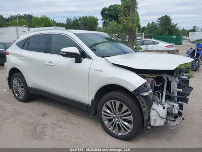 TOYOTA VENZA 2021