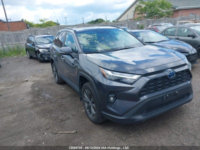 TOYOTA RAV4 2023