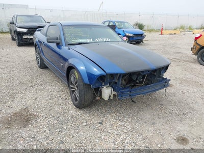 FORD MUSTANG 2006