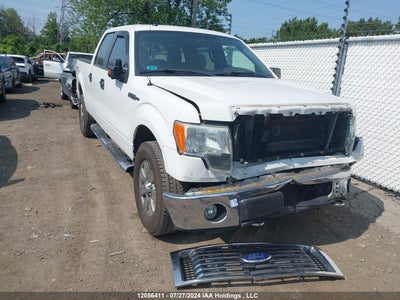 FORD F-150 2010