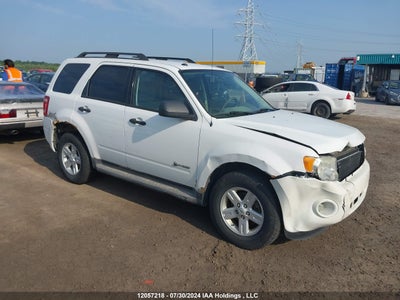 FORD ESCAPE HYBRID 2010