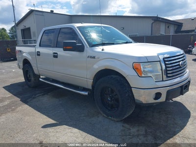FORD F-150 2010