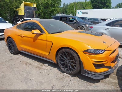 FORD MUSTANG 2019
