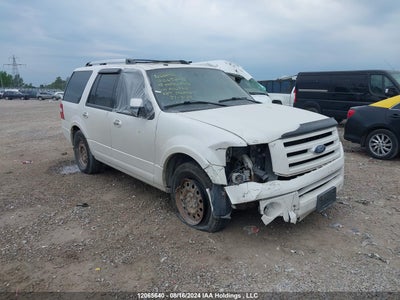 FORD EXPEDITION 2010