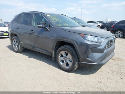 TOYOTA RAV4 2024