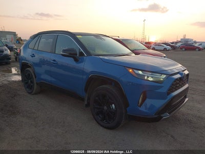 TOYOTA RAV4 2024