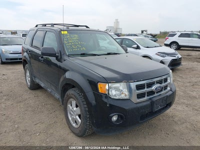 FORD ESCAPE 2010