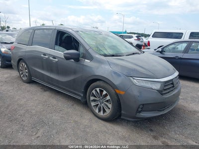 HONDA ODYSSEY 2022