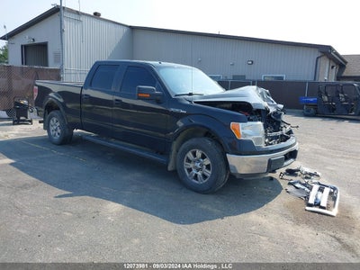 FORD F-150 2013