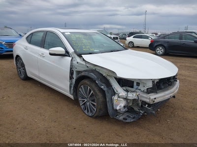 ACURA TLX 2019