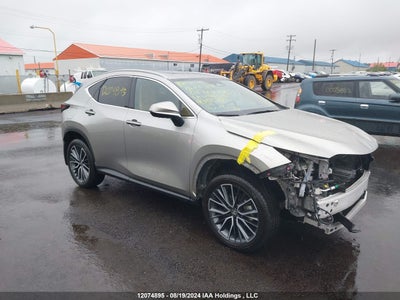 LEXUS NX 450H+ 2024