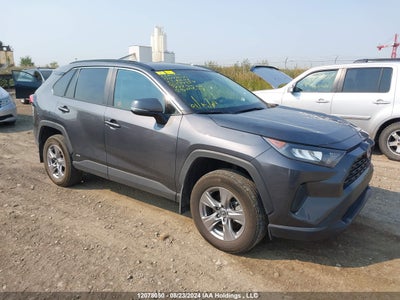 TOYOTA RAV4 2023