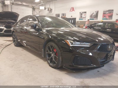 ACURA TLX 2023
