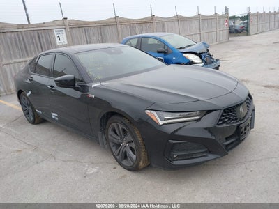 ACURA TLX 2023