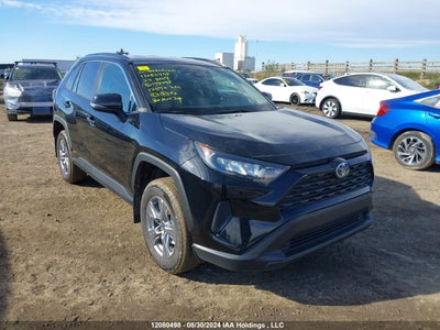 TOYOTA RAV4 2024