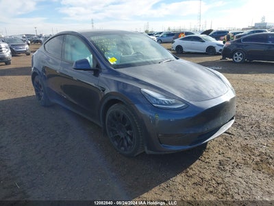 TESLA MODEL Y 2021