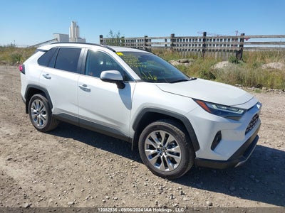 TOYOTA RAV4 2024
