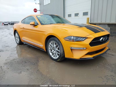 FORD MUSTANG 2019