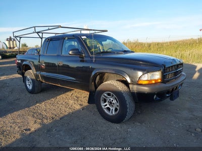 DODGE DAKOTA 2003