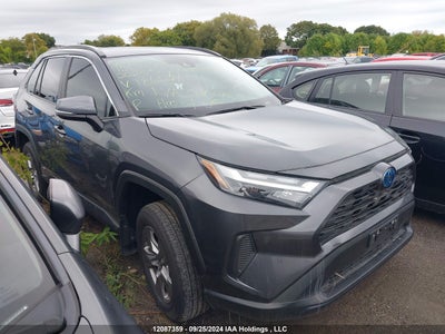 TOYOTA RAV4 2023