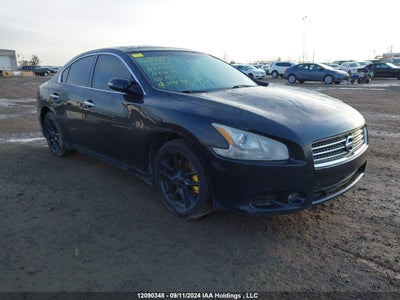 NISSAN MAXIMA 2010
