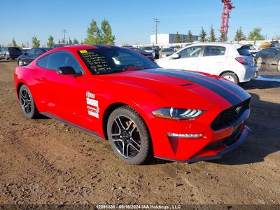 FORD MUSTANG 2019