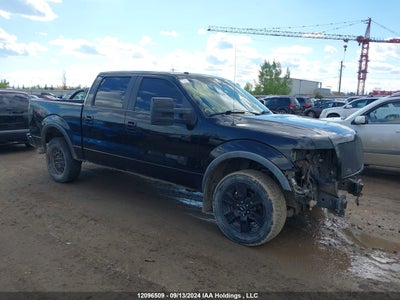 FORD F-150 2009