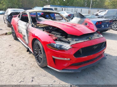 FORD MUSTANG 2019