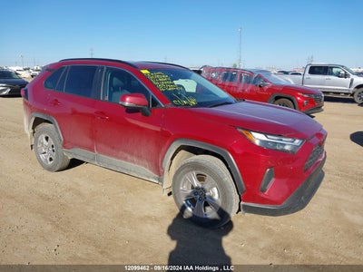 TOYOTA RAV4 XLE 2024