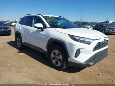TOYOTA RAV4 2024