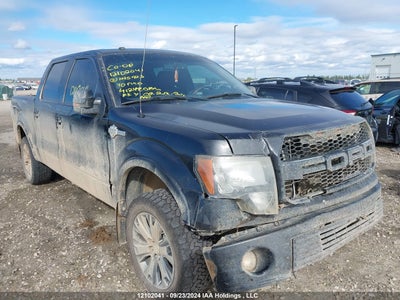 FORD F-150 2010