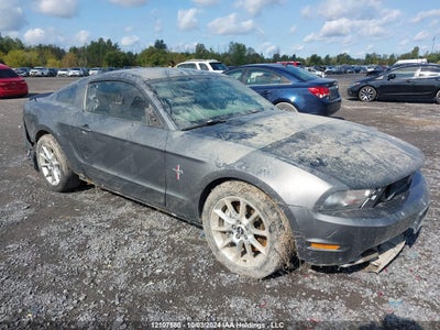 FORD MUSTANG 2010