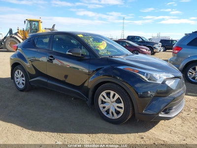 TOYOTA C-HR 2019