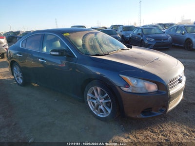 NISSAN MAXIMA 2011