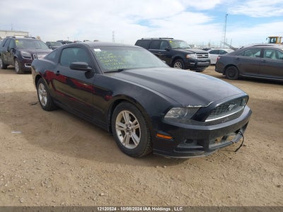 FORD MUSTANG 2014
