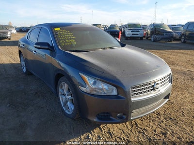 NISSAN MAXIMA 2011