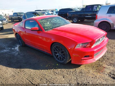 FORD MUSTANG 2013