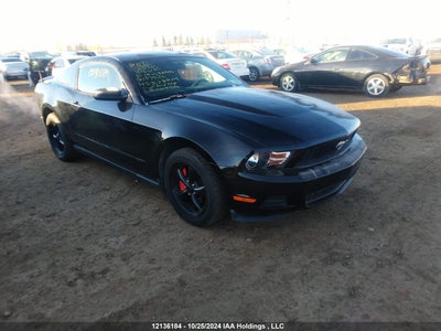 FORD MUSTANG 2010
