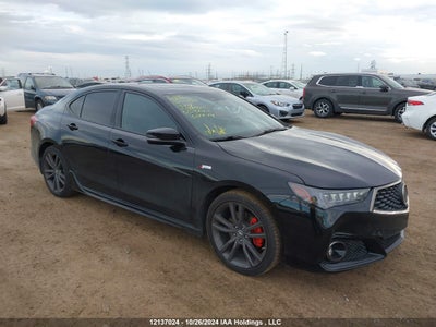 ACURA TLX 2019