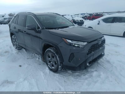 TOYOTA RAV4 2024