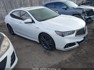 ACURA TLX 2019