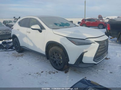 LEXUS NX 2024