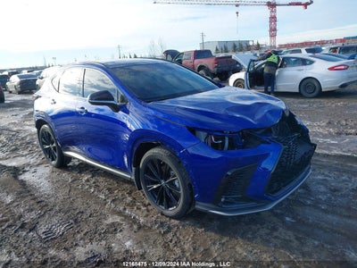 LEXUS NX 2024