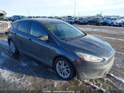 FORD FOCUS 2017