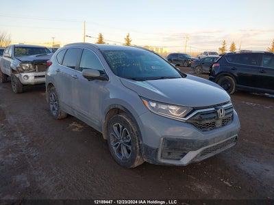 HONDA CR-V 2021