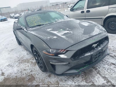 FORD MUSTANG 2019