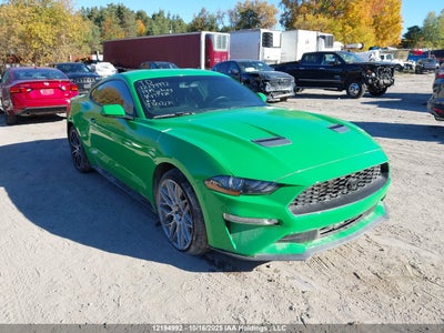 FORD MUSTANG 2019