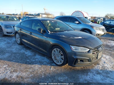 AUDI S5 2019